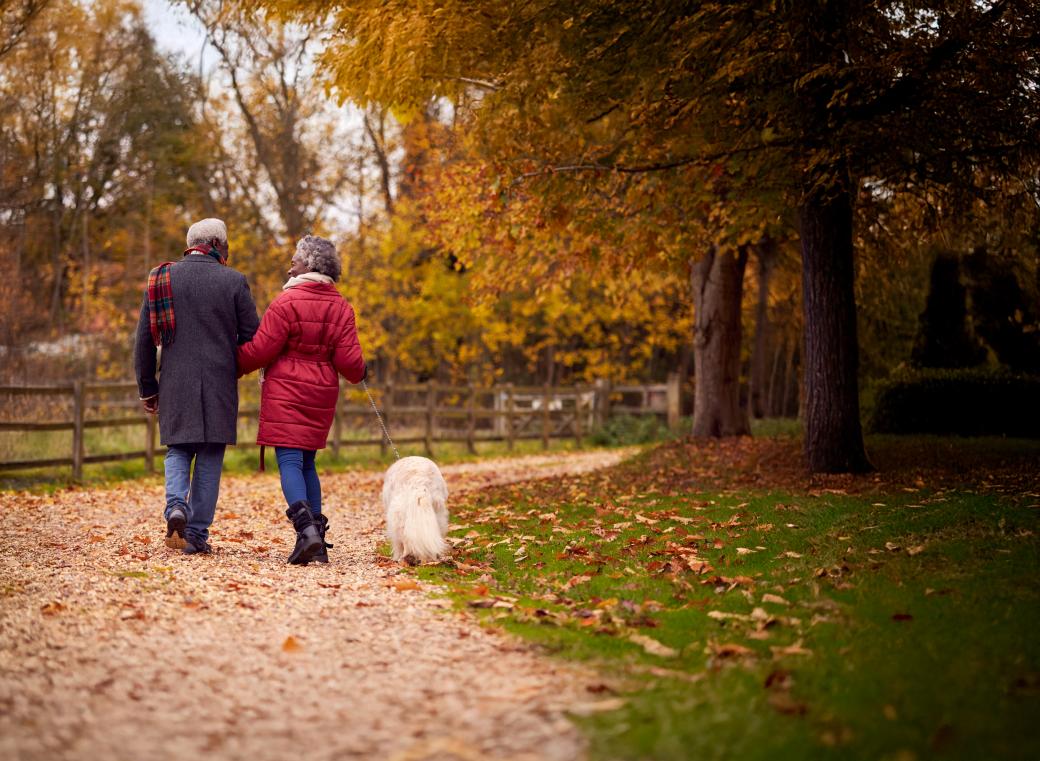 Older couple walking in a park during the autumn
